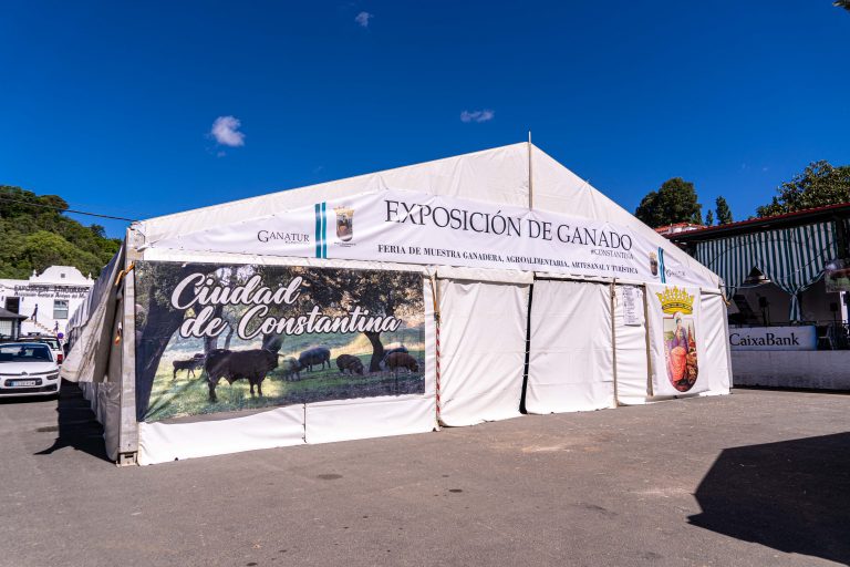Exposición ganado