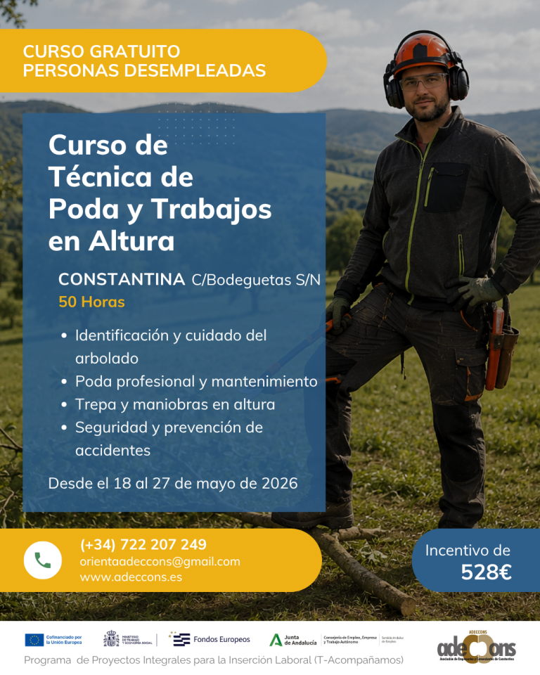 Curso gratuito PRL Arqueología
