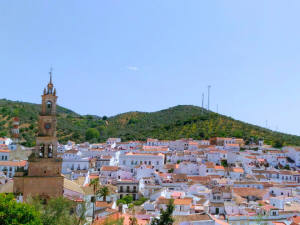 ¿Por qué emprender en Constantina? Descubre las oportunidades que ofrece este municipio